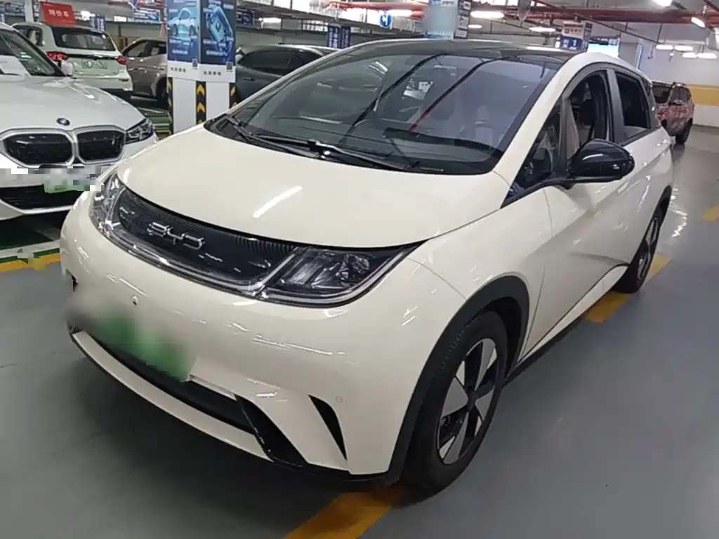 BYD Dolphin