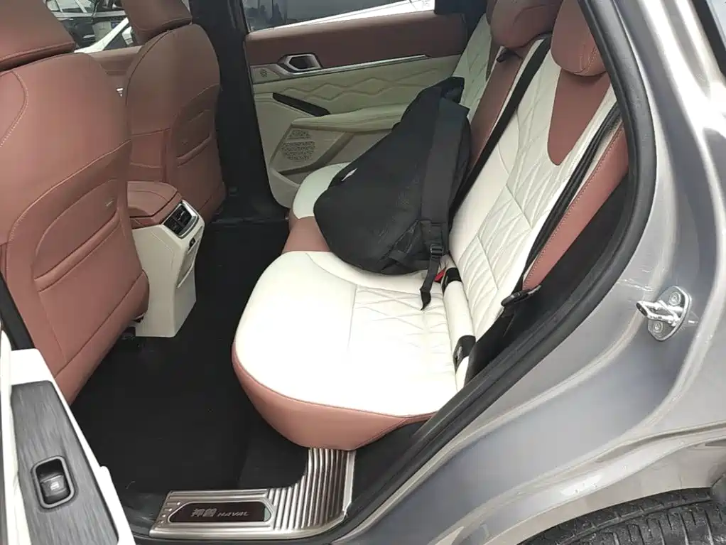 Haval Shenshou — миниатюра 17