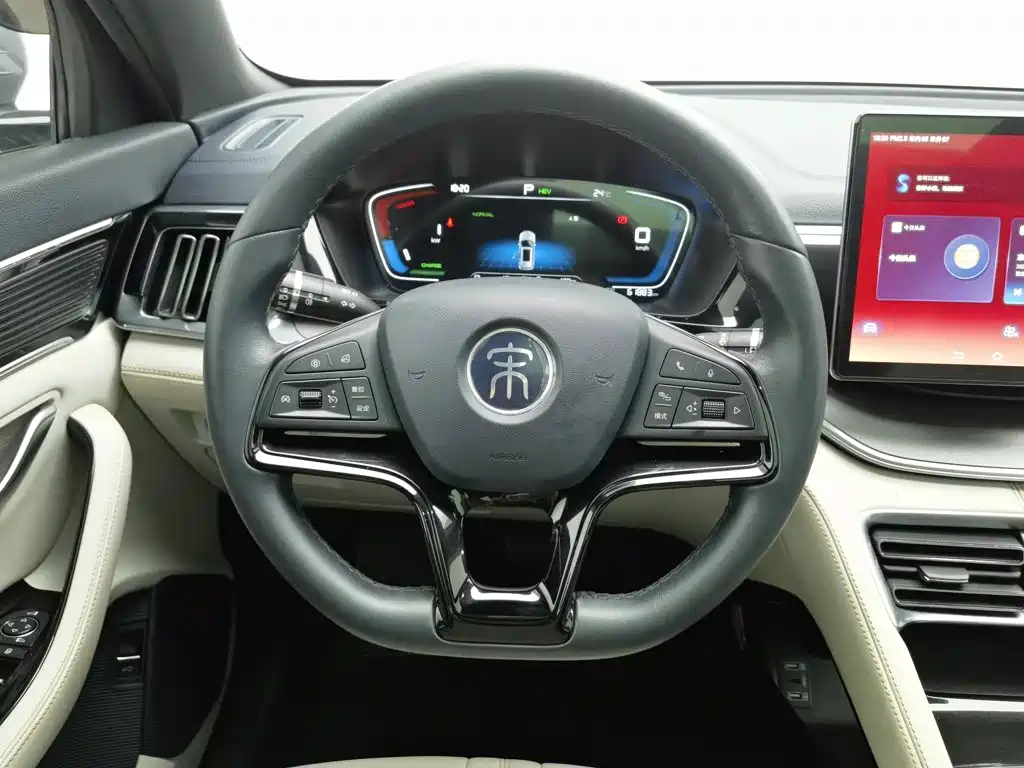 BYD PLUS New Energy — миниатюра 11