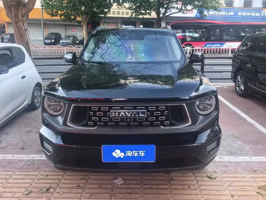 Haval Big Dog PLUS — миниатюра 2