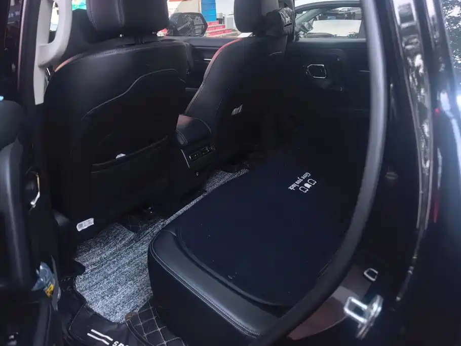 Haval Big Dog PLUS — миниатюра 11