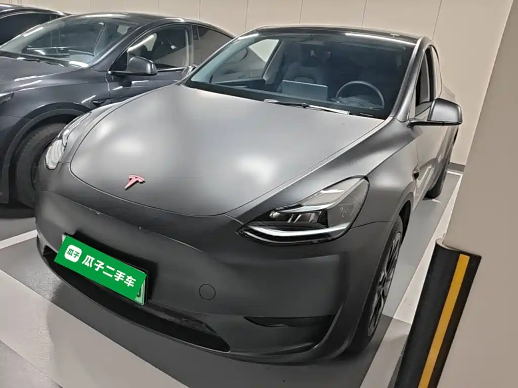 Tesla Model Y — миниатюра 2
