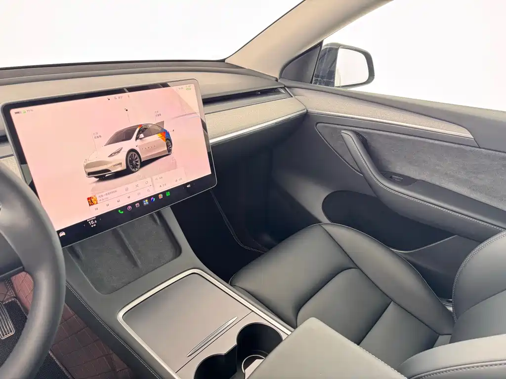 Tesla Model Y — миниатюра 6