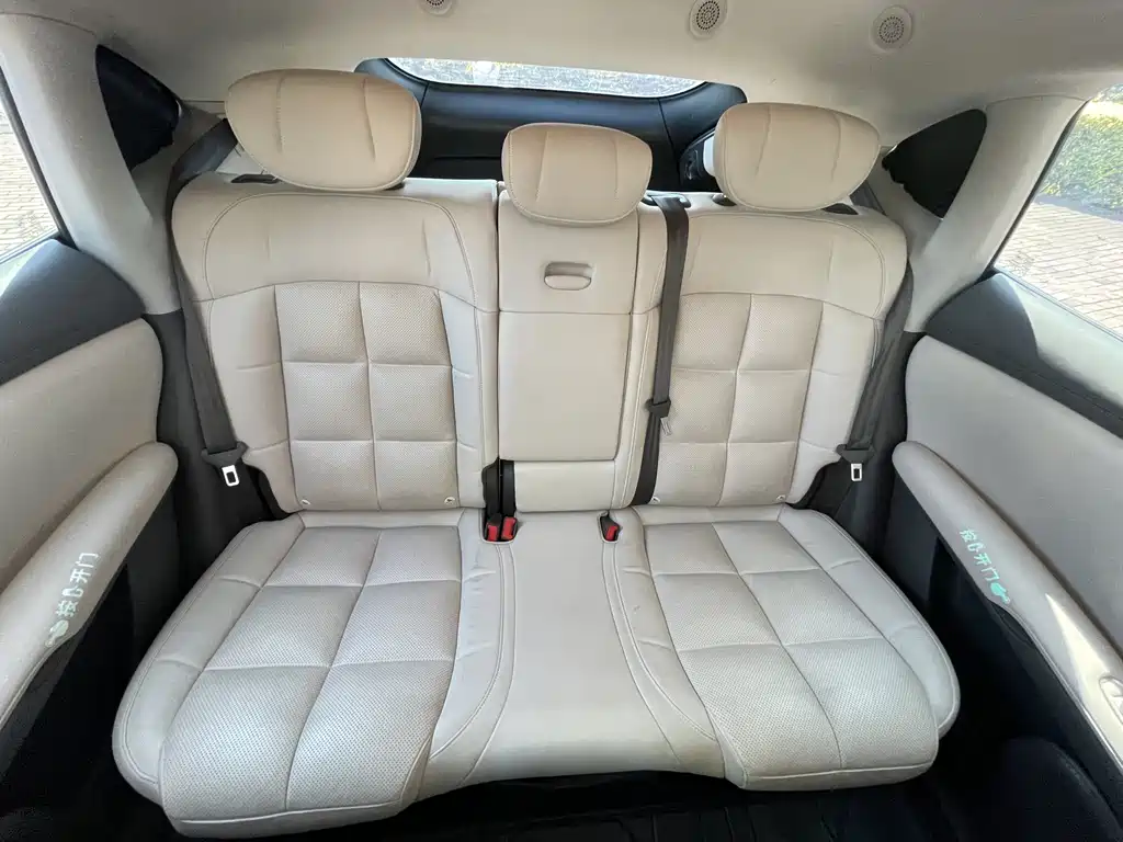 ZHIJI AUTOMOBILE ZHIJI LS6