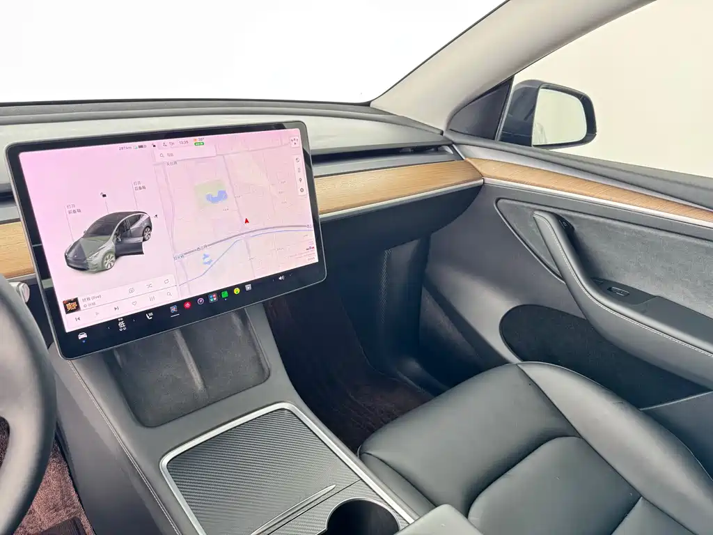 Tesla Model Y — миниатюра 6