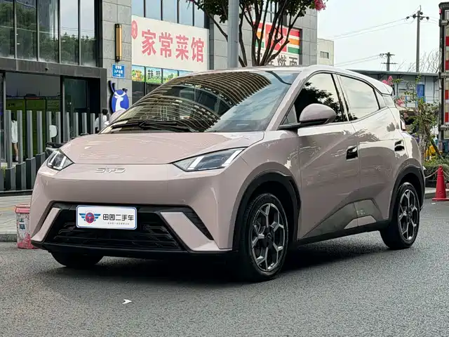 2025 BYD Seagull