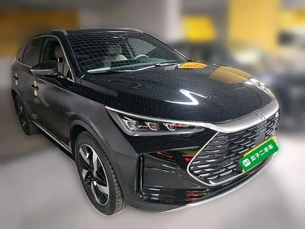 BYD Tang New Energy — миниатюра 6
