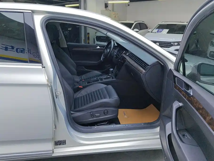 Volkswagen Magotan 2019 330TSI DSG Luxury VI