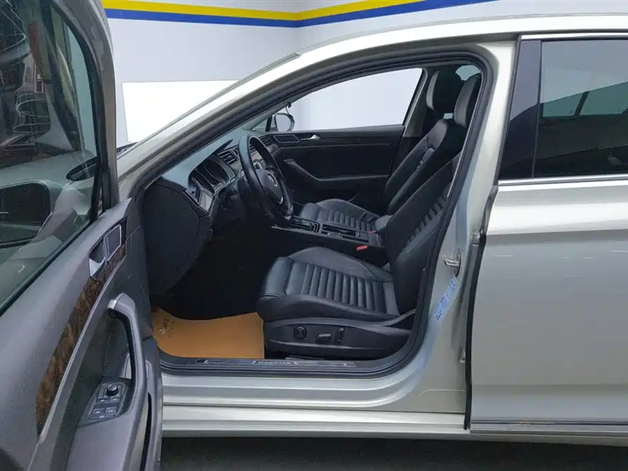 Volkswagen Magotan 2019 330TSI DSG Luxury VI