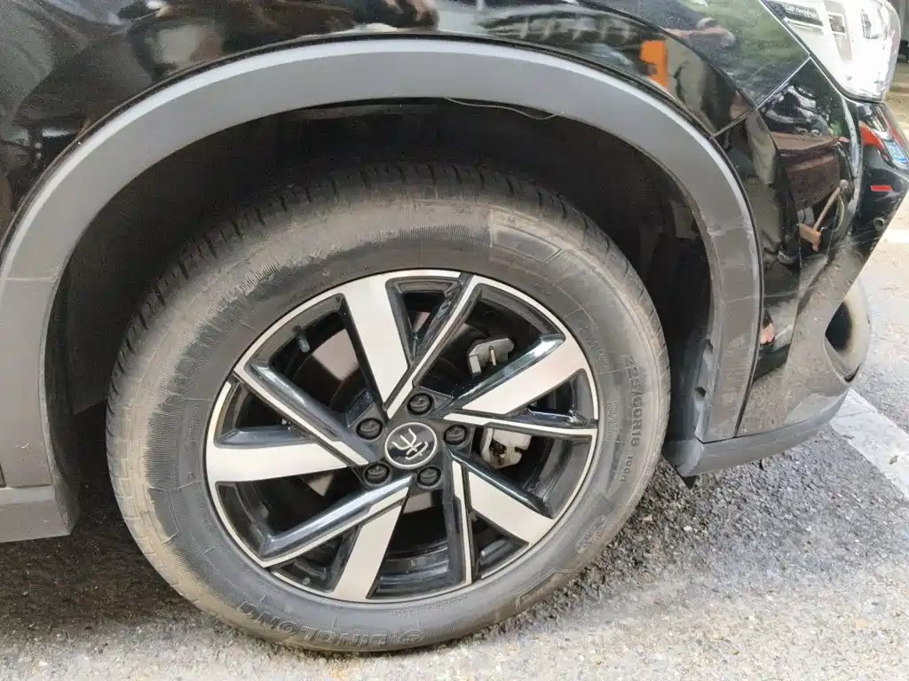 BYD Pro New Energy — миниатюра 8