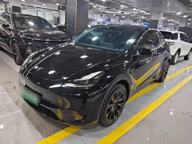 Tesla Model