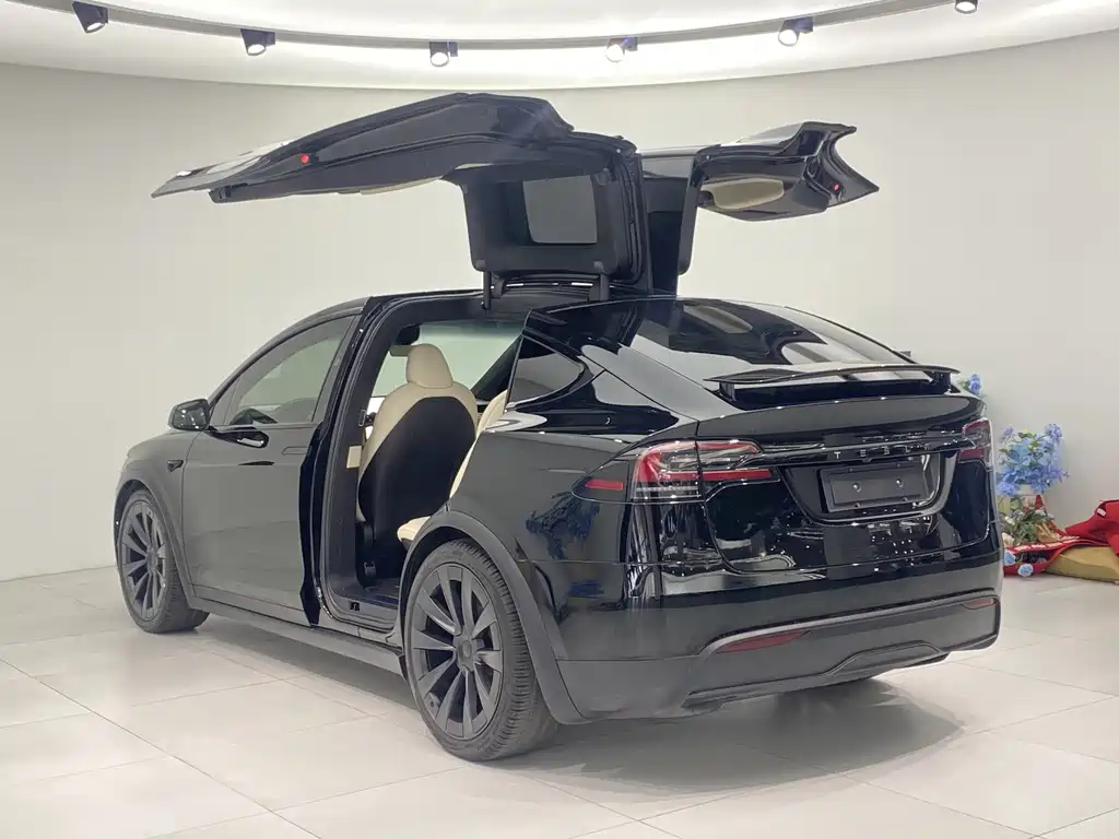 TESLA MODEL X