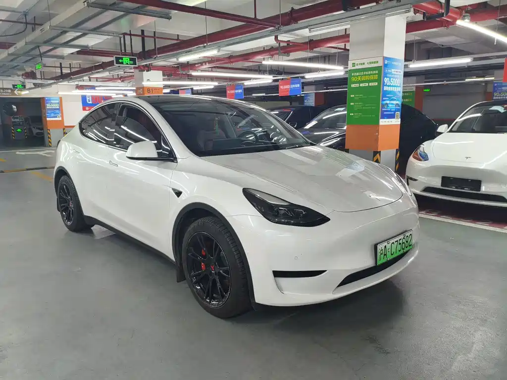 Tesla Model Y — миниатюра 3