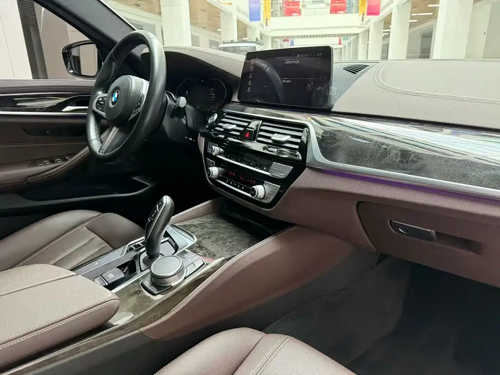 BMW 5 Series 5 2020 525Li M Sport