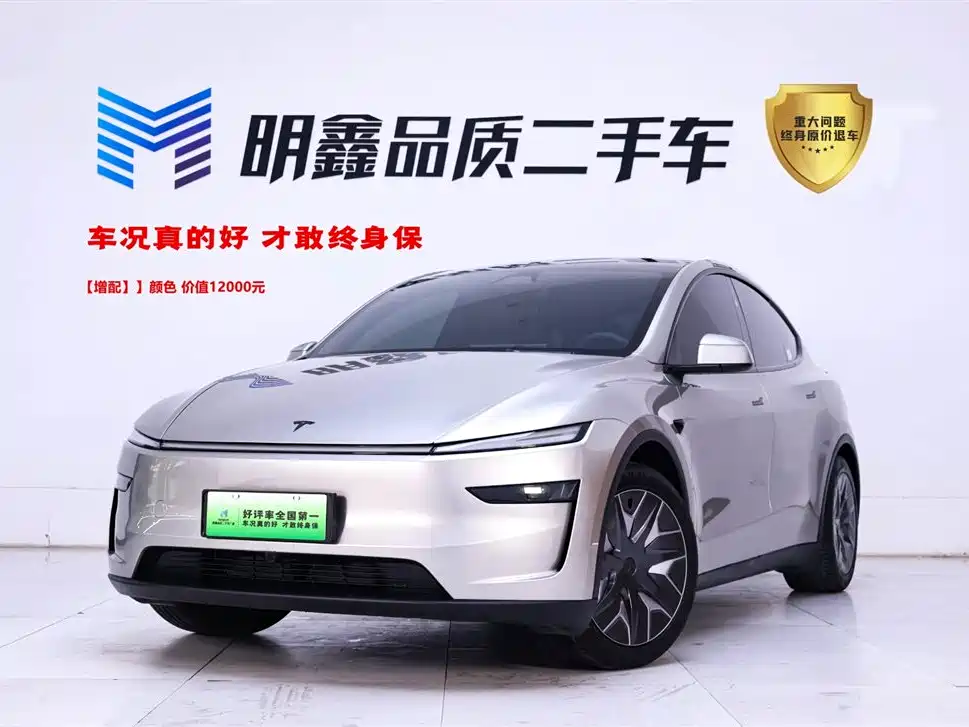 Tesla Model Y L 2025