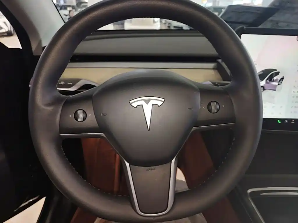 Tesla Model Y — миниатюра 11