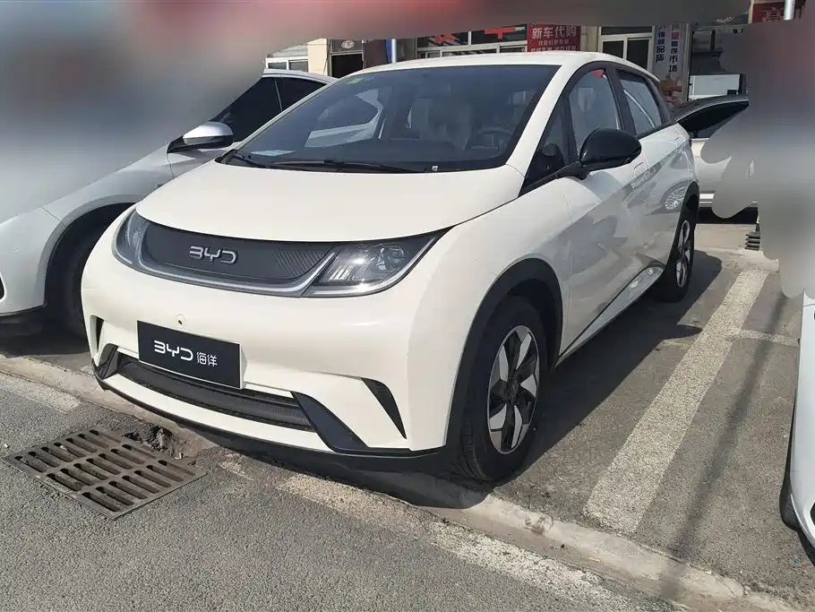 BYD DOLPHIN