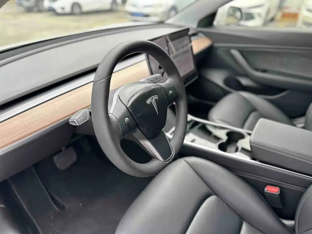 Tesla Model 3 — миниатюра 7
