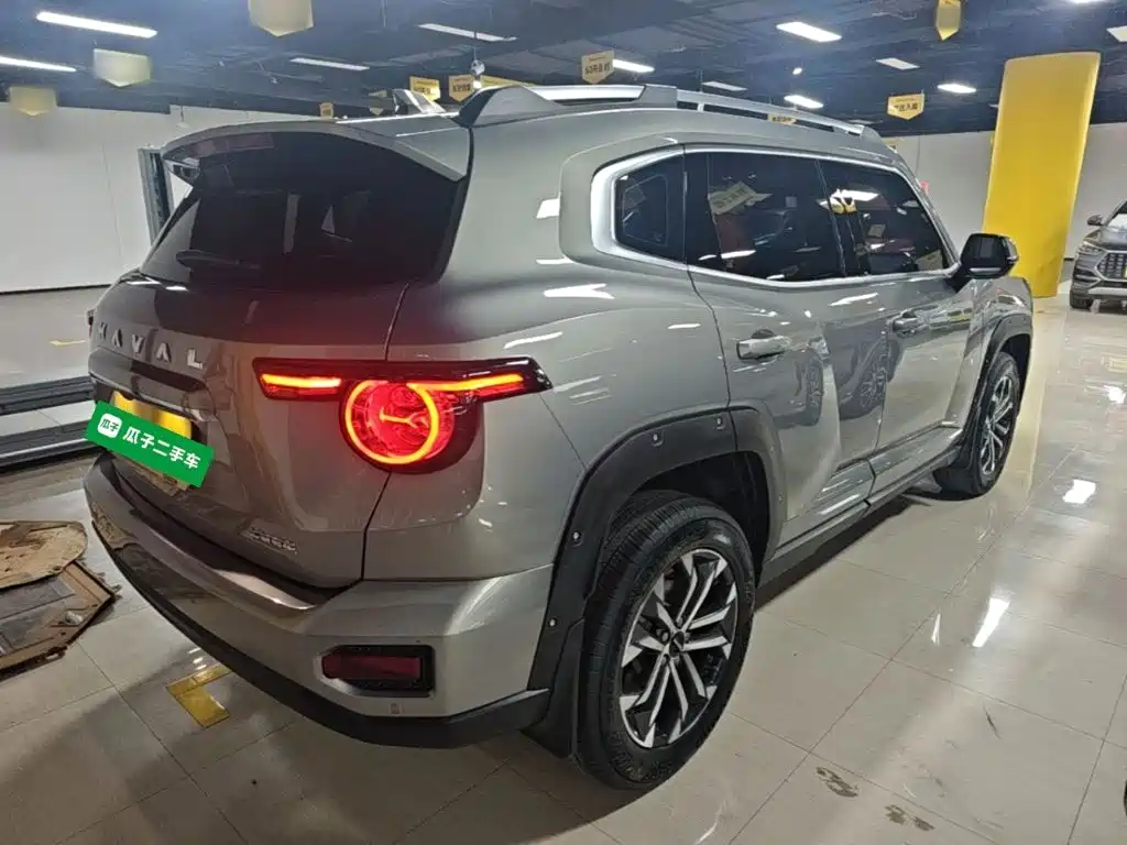 Haval Big Dog PLUS — миниатюра 7