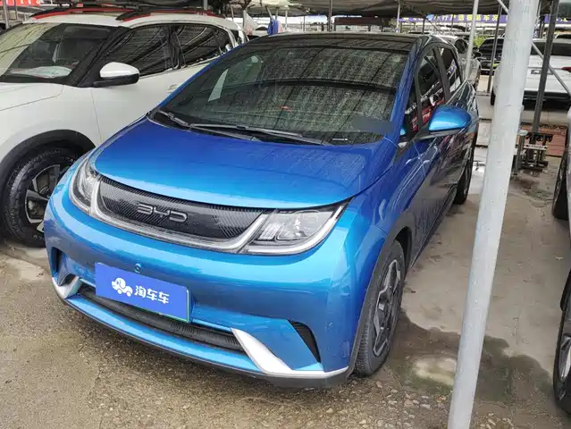2022 BYD Dolphin