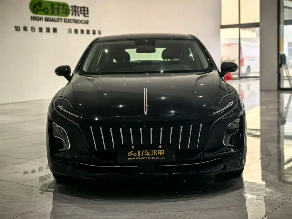 Hongqi HONGQI E QM5
