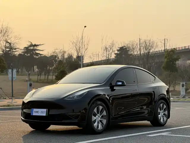 TESLA MODEL Y 2021