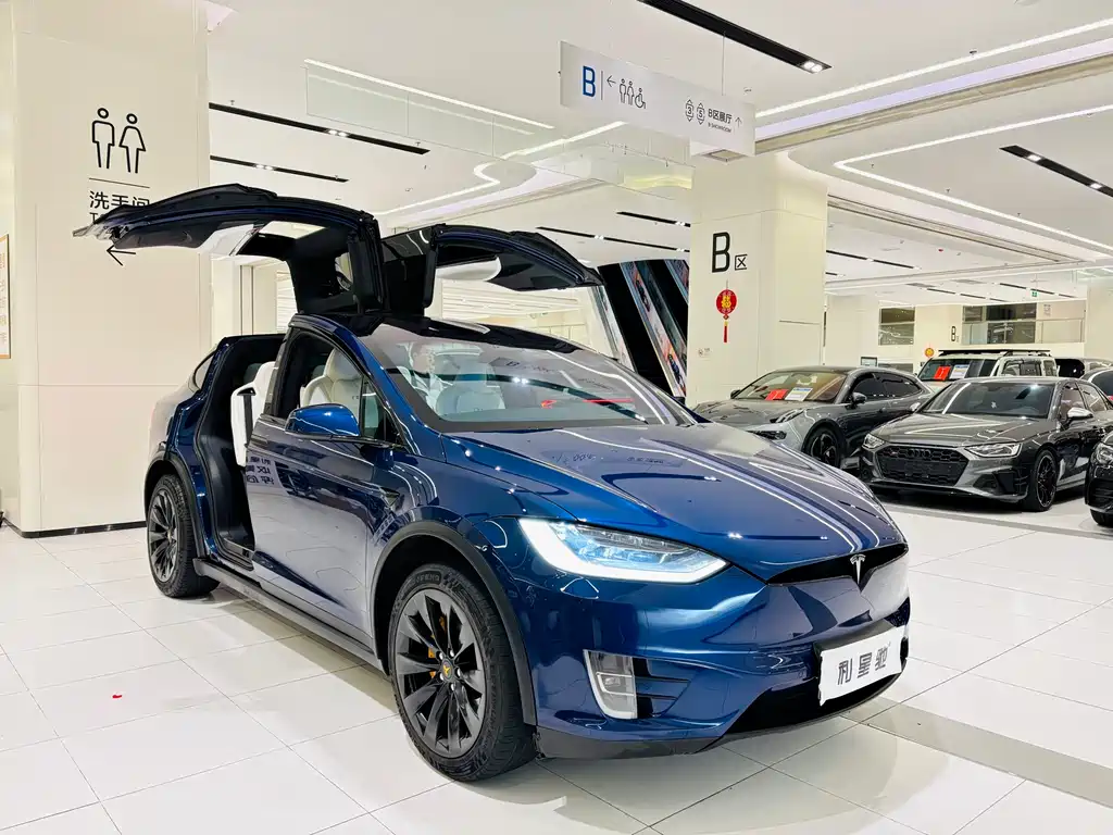 TESLA MODEL X