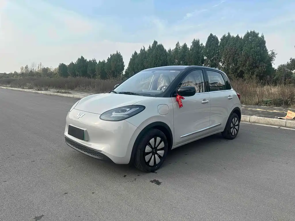 Wuling Binguo 2025 333km Enjoy
