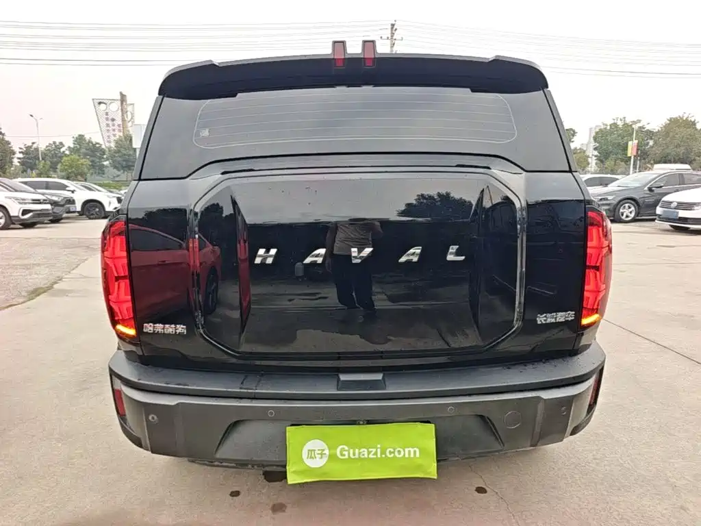Haval Cool Dog — миниатюра 6