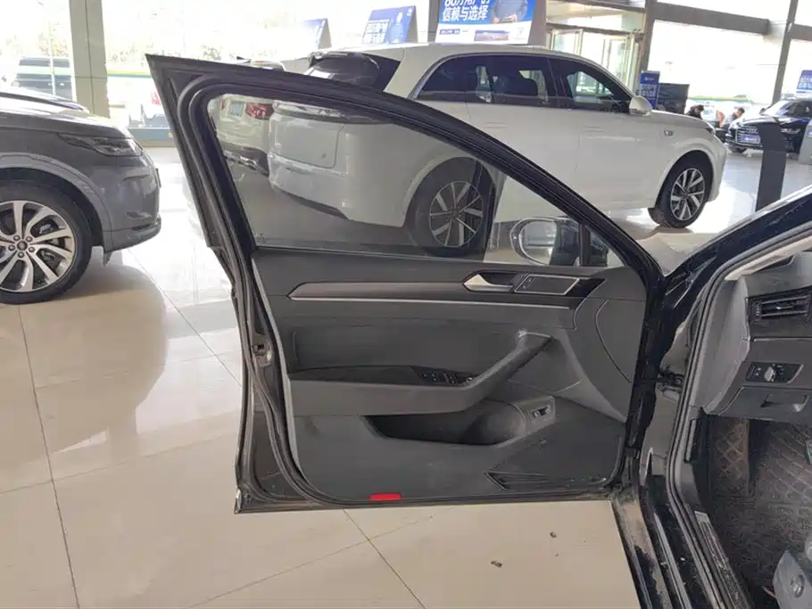 Volkswagen Magotan 2020 330TSI DSG Luxury