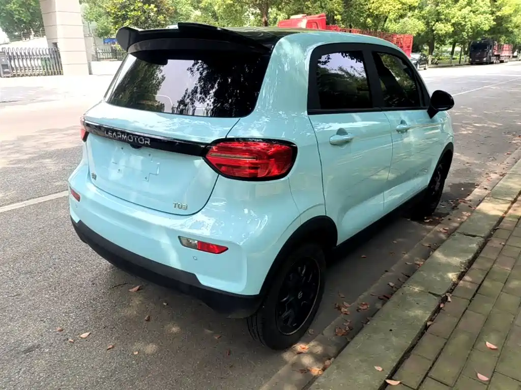 Leapmotor T03 2025 310