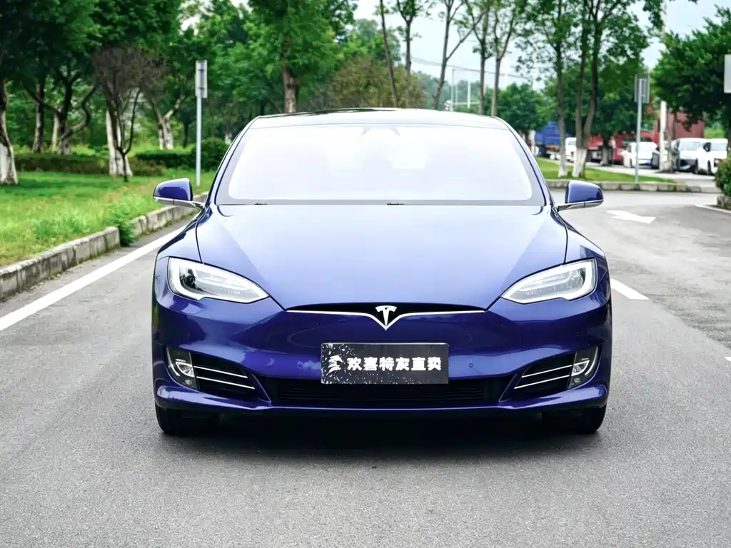 Tesla Model S — миниатюра 2