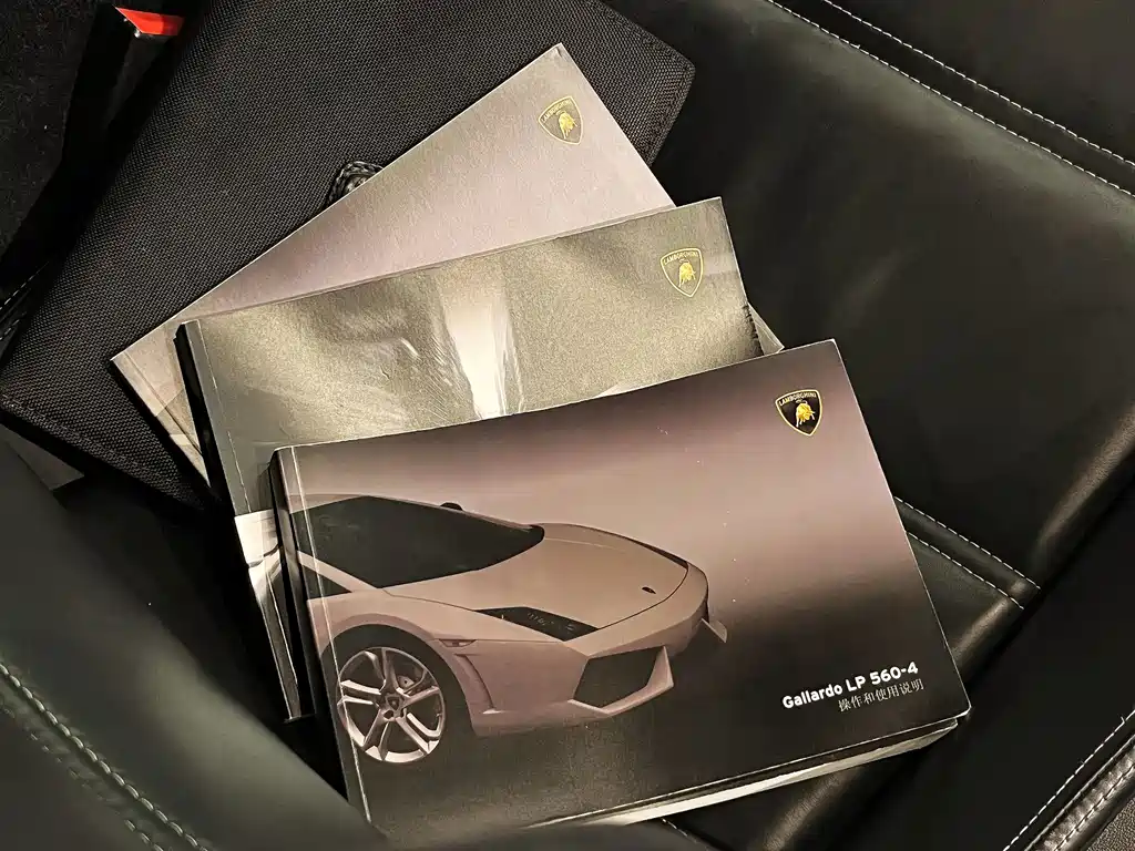 Lamborghini Gallardo — миниатюра 17