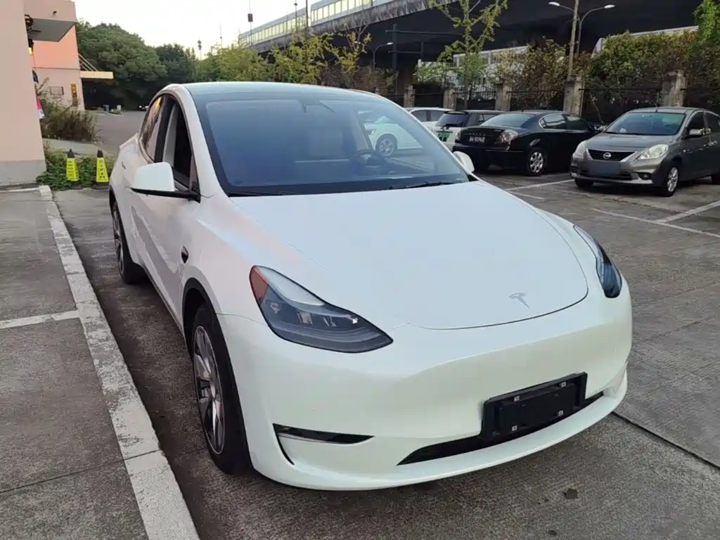 Tesla Model Y — миниатюра 4