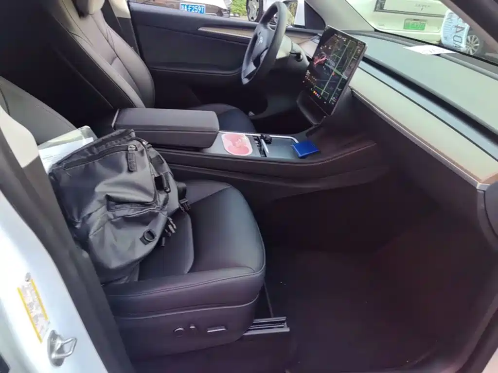 Tesla Model Y — миниатюра 25