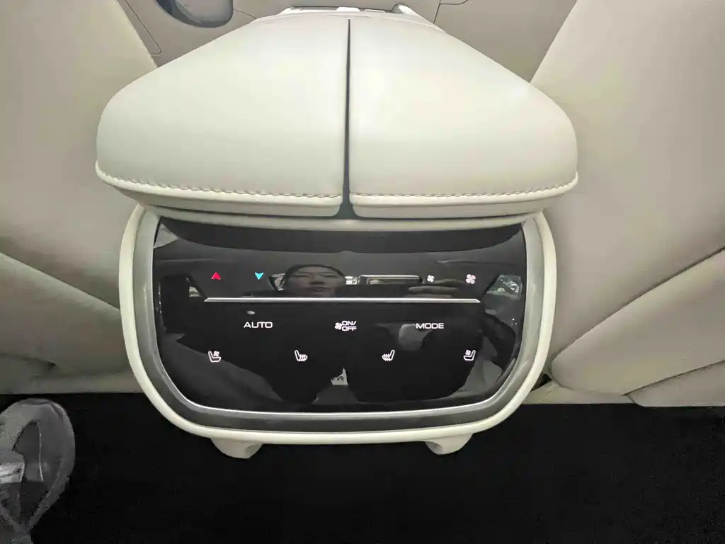 WEI PAI WEI BRAND BLUE MOUNTAIN