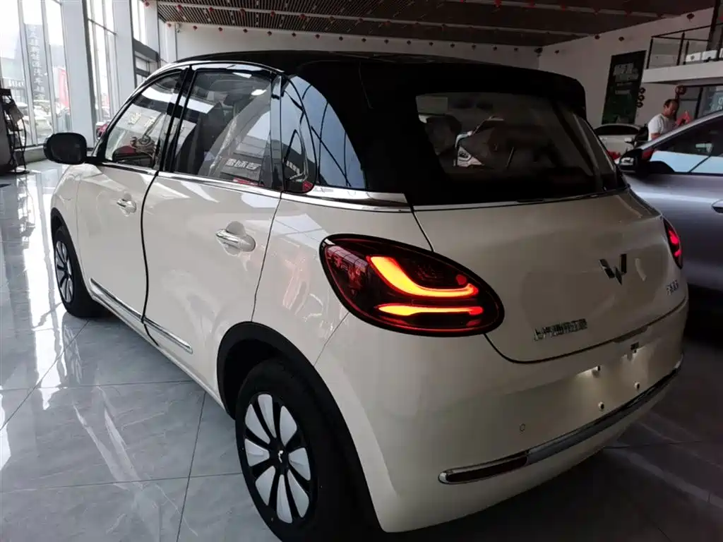 Wuling Binguo 2025 333km Enjoy