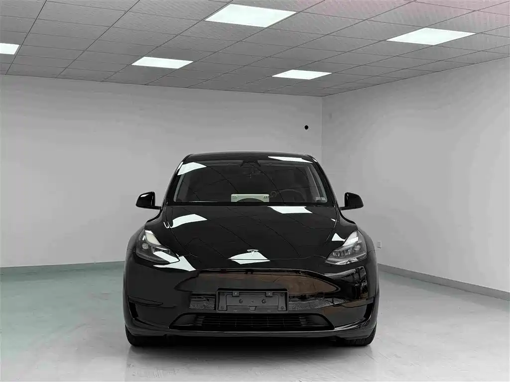 Tesla Model Y — миниатюра 2