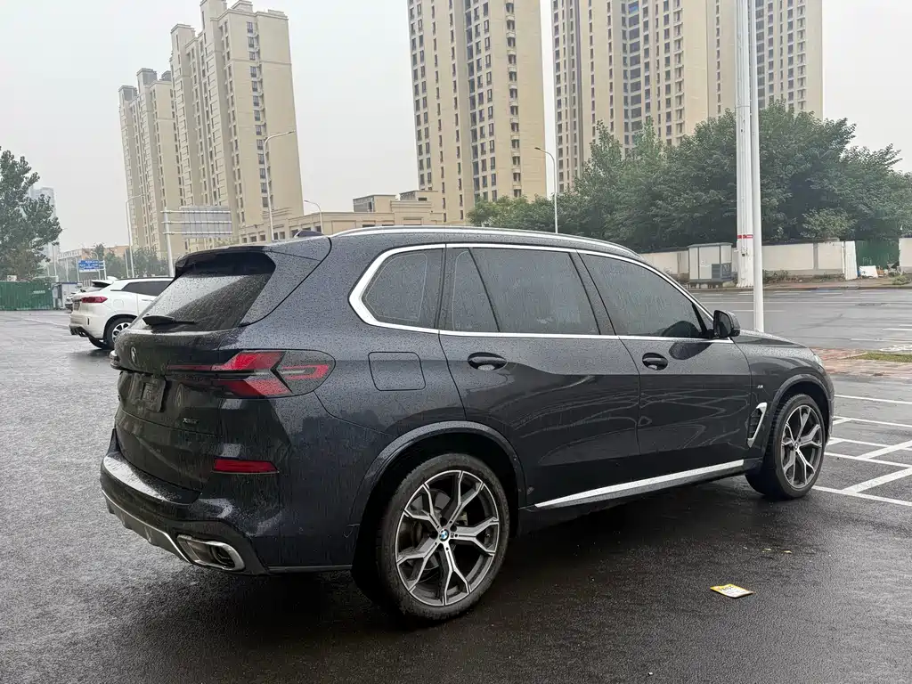BMW X5 — миниатюра 10