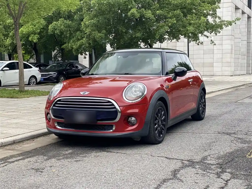 Mini Mini 2015