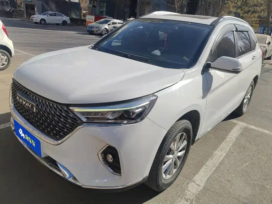 HAVAL M6