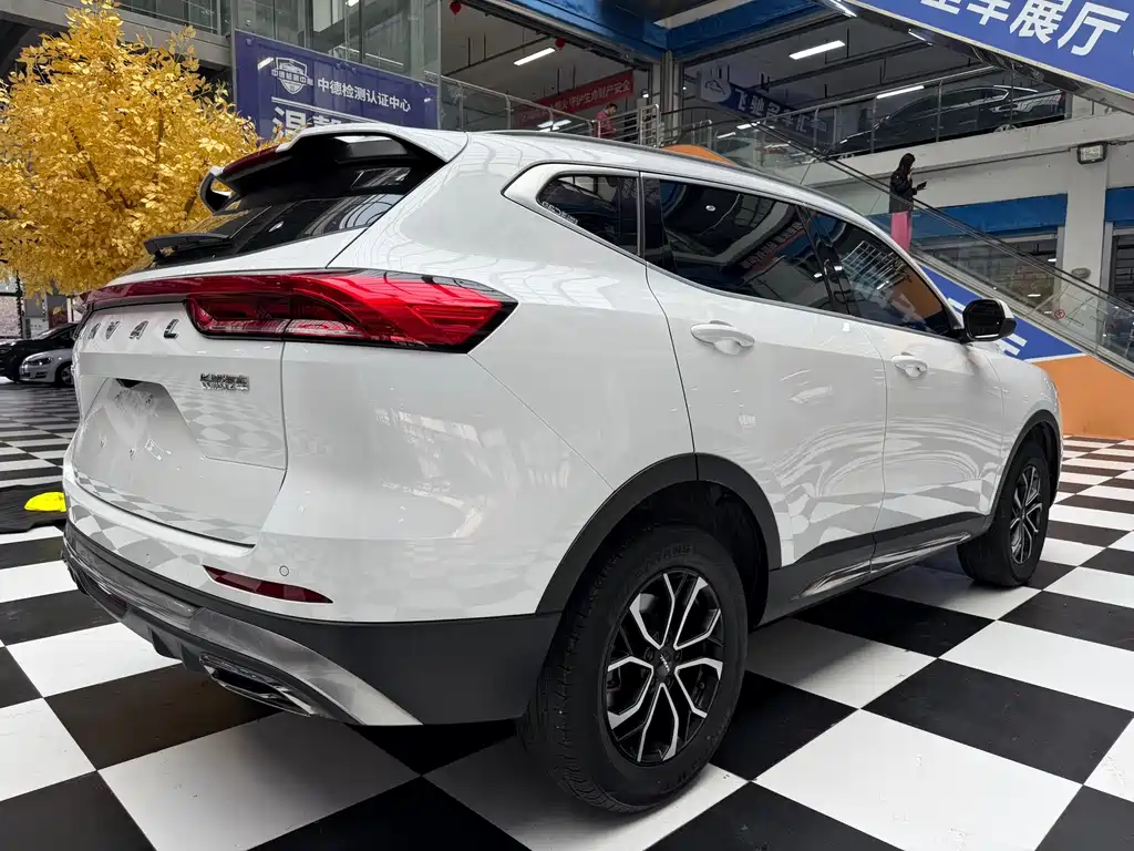 Haval H6 — миниатюра 7