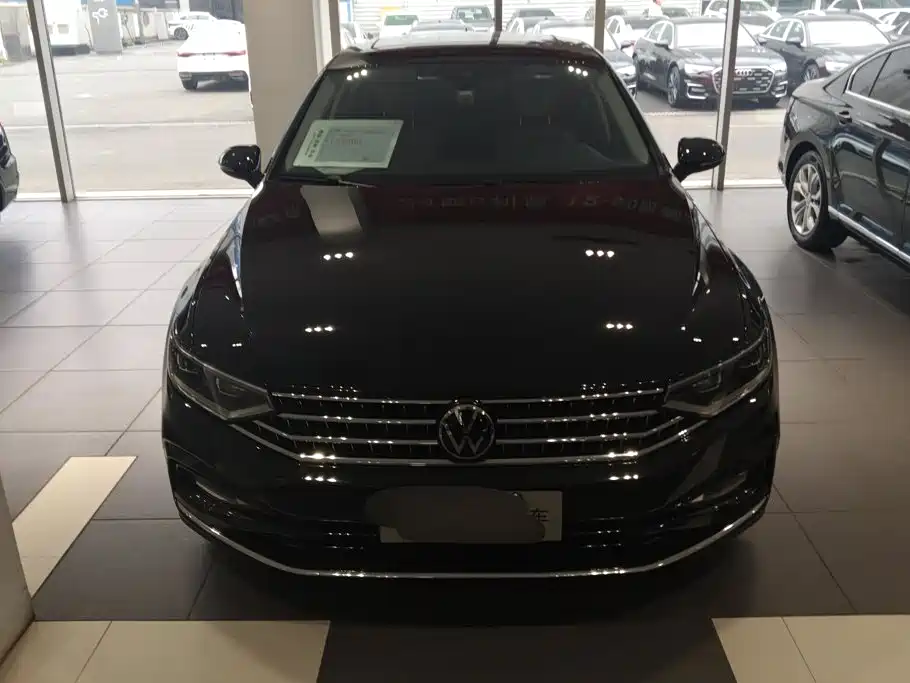 Volkswagen Magotan 2020 330TSI DSG Luxury