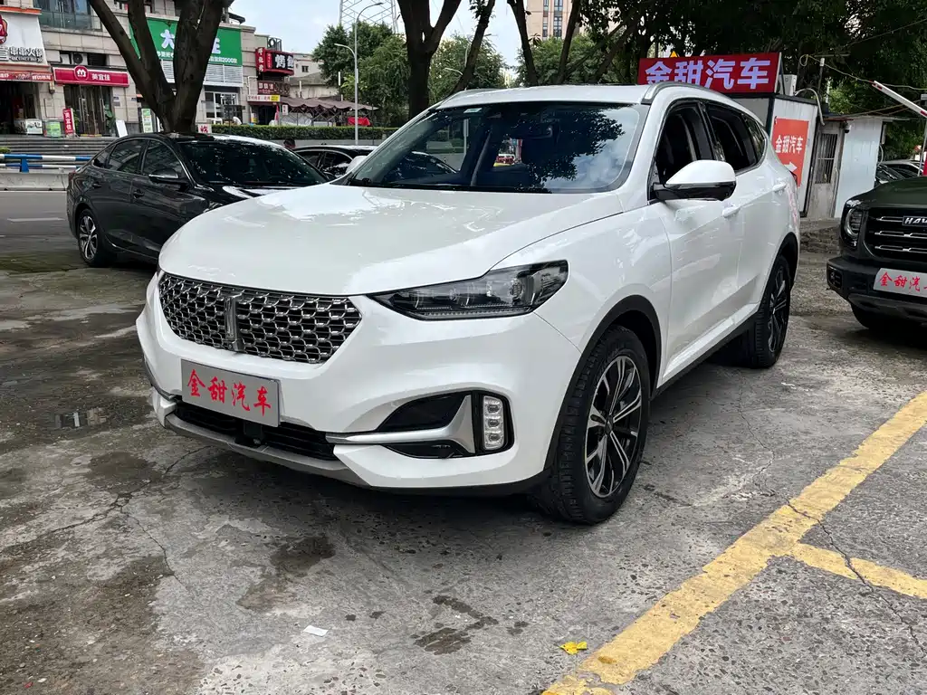 Wey Wey VV6