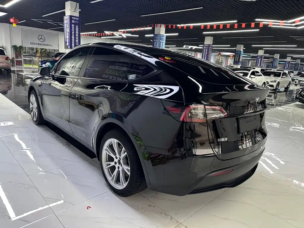 Tesla Model Y — миниатюра 7