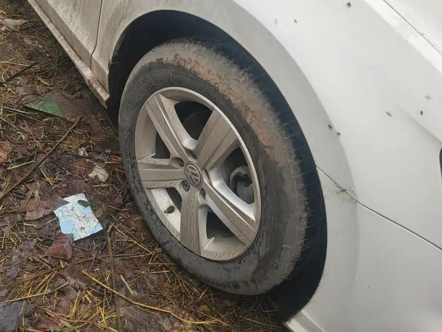 Volkswagen Lamando — миниатюра 6