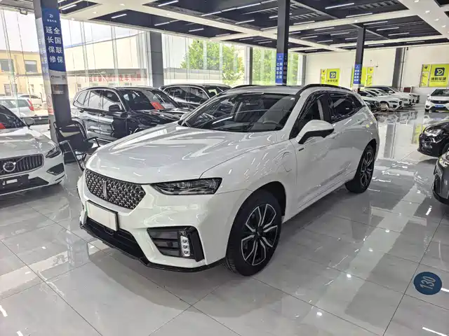 2021 Wey VV7
