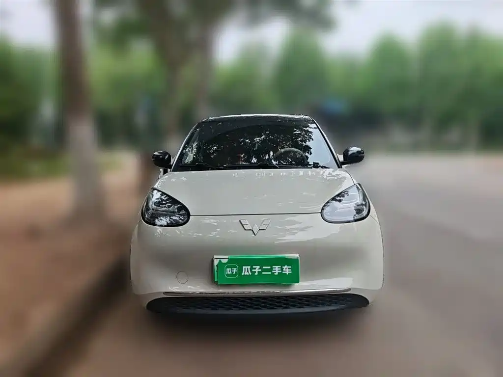 Wuling Binguo 2024 333km Enjoy