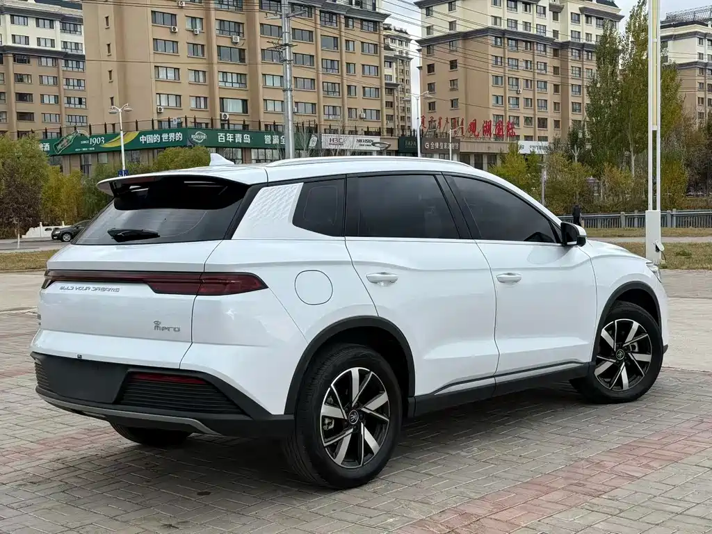 BYD Pro New Energy — миниатюра 9