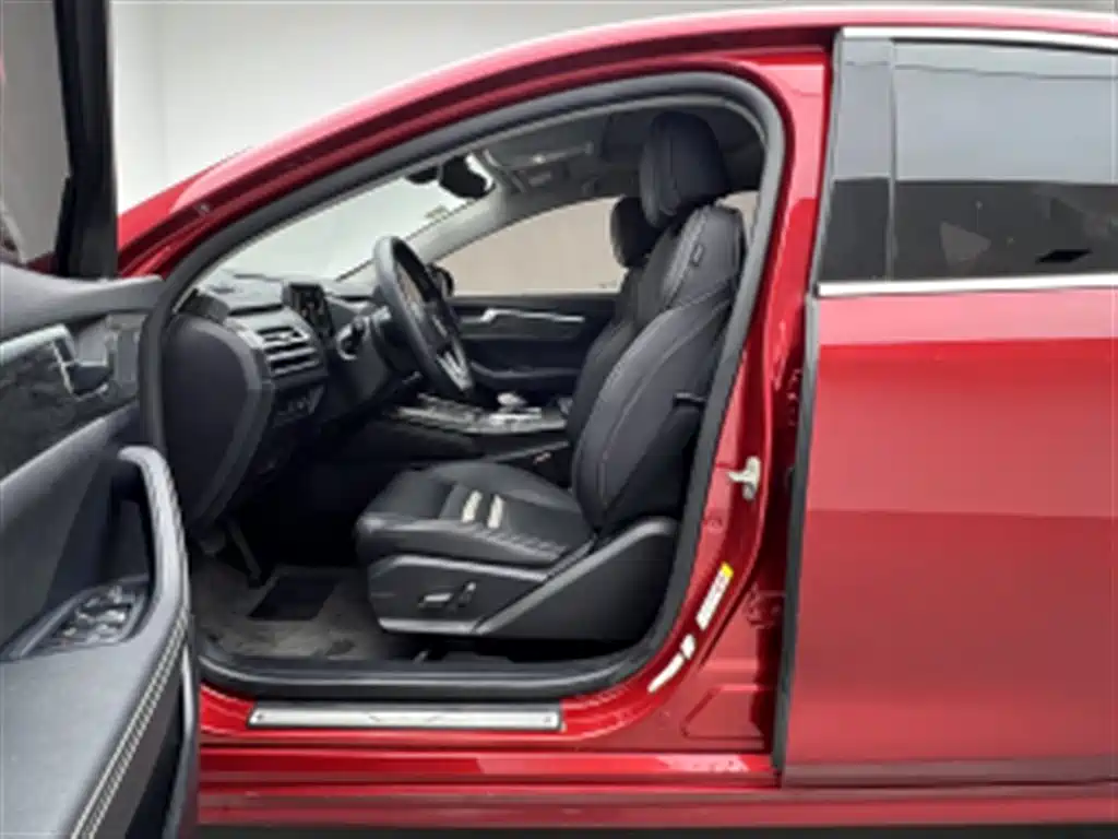 BYD Qin Pro NEV — миниатюра 13